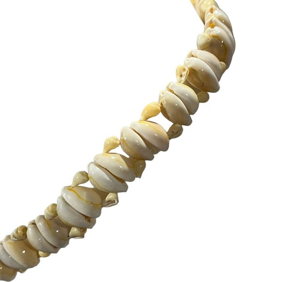 Vintage Cowrie Shell Belts - Three Sizes - Picture 9 of 10